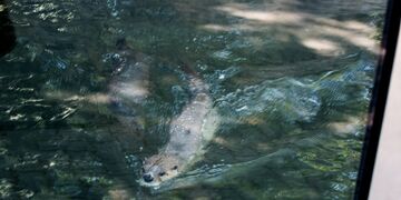 DSC_0598[1]