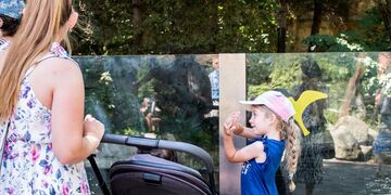 DSC_0599[1]