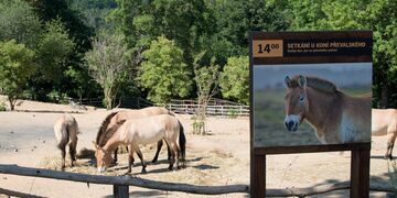 DSC_0608[1]