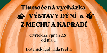 Výstavy dýní a Z mechu a kapradí